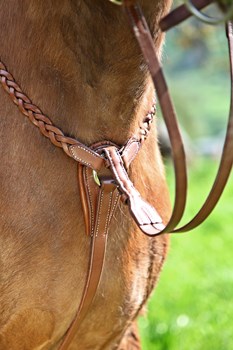 Collier de chasse tressé