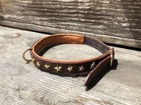Collier chien