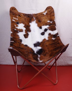 Fauteuil papillon en peau de vache Normande. 