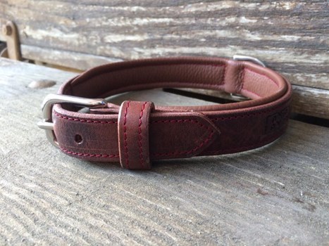 Collier de chien - en cuir tannage végétal